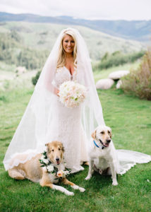 JoAnn Moore Wedding Gallery