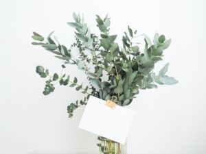 environmentally friendly weddings