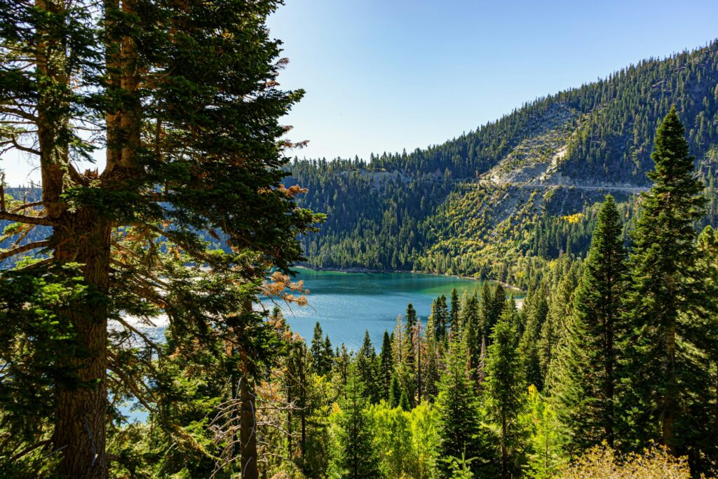 Mastering Lake Tahoe's Seasons: Expert Wedding Planning Tips